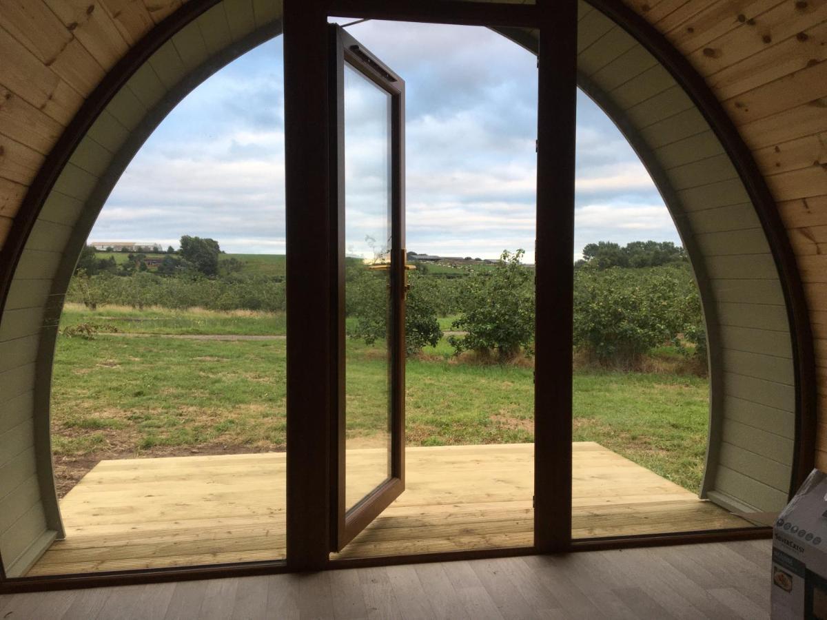 Orchard Luxe Glamping Pod Dungannon Exterior foto
